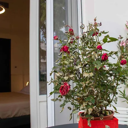 Pensionat Mari Luxury And Bari