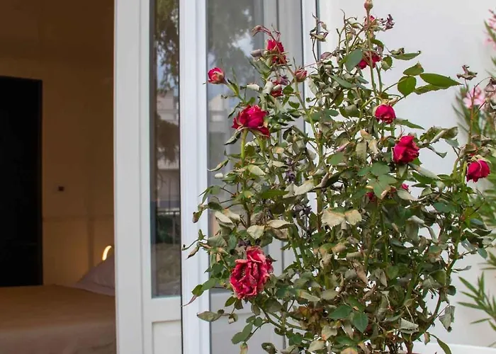 بيت ضيافة Mari Luxury And باري